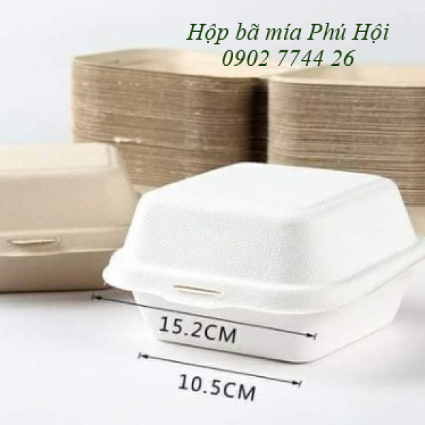 Hộp bã mía vuông hamburger